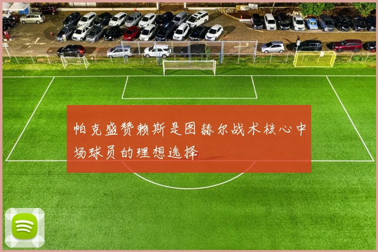 帕克盛赞赖斯是图赫尔战术核心中场球员的理想选择